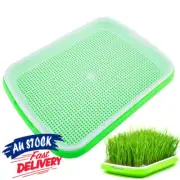 Trays Plant Grow Germination Tray Basket Seed Sprouter Seddling Starter