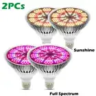 300W Full Spectrum Plant LED Grow Light Sunlight Lamp for Veg Hydroponics Growth