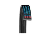 Dayco 44HT97K Main Drive Multi Rib Belt Fits 1993-1997 Lexus GS300 (for: Lexus)
