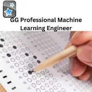 GG Professional Machine Learning Engineer dump test 2025 in pdf