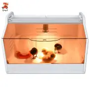 Poultry Brooding Incubator For Chicks / Birds / Hand Raised Parrot / Reptile NEW