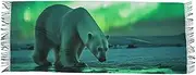 [AIXIWAWA] Women's Pashminas Scarf Green Aurora Bear Print, Shawls Wrap Lightwight with Tassel for Evening Dress Dinner Party, Multicolor