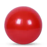 GGP Red 65Cm Anti Burst Yoga Exercise Ball For Pilates & Core Strength