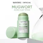 SKINTIFIC Mugwort Acne Clay Stick 40g - Clay Mask/Mud Mask/Mugwort Mask