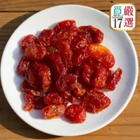 在飛比找松果購物優惠-【覓17】嚴選好吃果乾-蕃茄乾 （100g/包） (5.4折