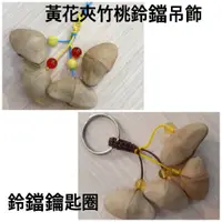 在飛比找蝦皮購物優惠-DIY文創商品 黃花夾竹桃 鑰匙圈吊飾 種子鈴鐺串(已挖果仁