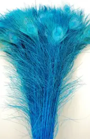 50 Pcs BLEACHED PEACOCK TAILS Feathers 30"-35" TURQUOISE; Costume/Art/Crafts