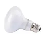 Temperature Controller Heat Lamp Reptile UVA Light Halogen Bulb Basking Light
