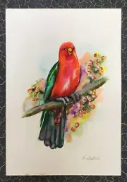 Australian Art Original Watercolour King Parrot