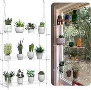 Hanging Clear Plant Shelves for Windows, 3-Tier Acrylic Window Wall Plant Stand Shelf for Kitchen Window Indoor Gardens, Flower, Succulents, Herb, Seedling Organization, and Plants Pots Display