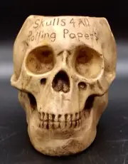 Skulls 4 All Ashtray Clay Adams University Hydrocal Osteology Alben Osteopathy
