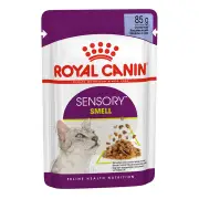 Royal Canin Sensory Smell In Jelly Adult Pouches Wet Cat Food 85 Gms 12 Pack