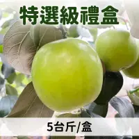 在飛比找台灣好農優惠-【東豐果園】屏東高樹-特選級蜜棗手提禮盒 (5台斤)