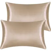 2 Pack Satin Pillowcases Super Soft Silky Pillow Cases with Envelope Closure(50 x 75cm, Champagne)