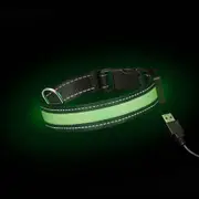 Loomo Moonshine LED Dog Collar Green