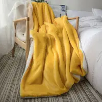 在飛比找蝦皮購物優惠-毛毯 兔毛绒毛毯 法蘭絨毛毯 沙發毯 牛奶絨毯 午睡毛毯 珊
