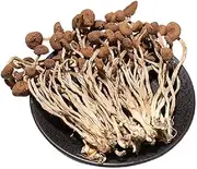 Dired Agrocybe Aegerila, agrocybe cylindracea; AGROCYBECYLINDRACEA,Dried Mushrooms;Tea Tree Mushrooms;ChaShuGu Dried Edible Tea Tree Mushrooms (250 g(0.55 lbs))