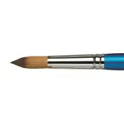 Winsor & Newton CWC Cotman Series 111 Round Paint Brush Short Handle Size 8