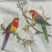 20 Rosella Bird Paper Napkins 3ply 33x33cm