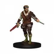 Dungeons and Dragons Premium Male Human Rogue Pre-Painted Figure