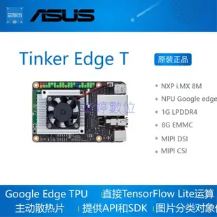 婷婷數位 ASUS Tinker Edge T 開發板 NXP i.MX 8M Google Edge TPU 華碩