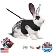 Guinea Pig Harness and Leash, Rat Harness Leash Set Eescape Proof Walking Tra