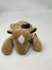 TY Beanie Baby - DERBY the Horse (with star & yarn mane) (8 inch) - MWMTs