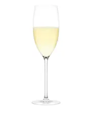 Plumm Vintage Sparkling Crystal Wine Glass - Master Carton (255ml) - 8 Pack