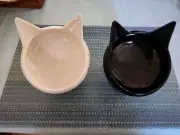Cat Bowls Raised Ceramic Black and White..