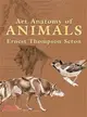 Art Anatomy of Animals