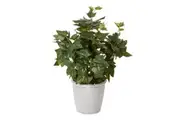 Cooper & Co Ivy Green Artificial Decor Indoor Decorative Plant 39 cm w Pot Set