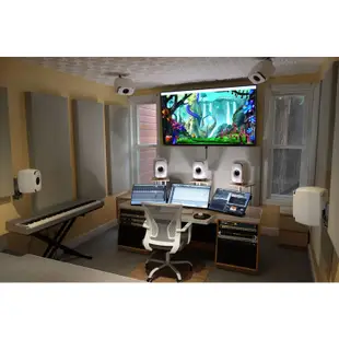 Genelec 8341A 灰色 芬蘭製造 6.6吋 同軸 頂級 錄音室 監聽 喇叭 音響 一對 公司貨 保固5年