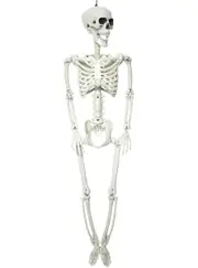 Pose and Hang 90cm Skeleton Halloween Decoration