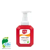 在飛比找PChome24h購物優惠-美琪 抗菌洗手慕斯(500ml)X1