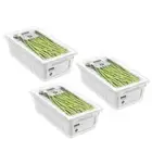 3x Boxsweden Crystal WHT 32cm Crisp Bin Food Storage Fridge Container Organiser