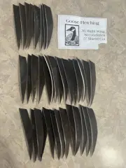 5 Inch Shield Right Wing Goose Feather Fletching 36 Count