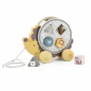Pull Along - Hedgehog with Sorting Wheel ~ PolarB design by Viga 2+