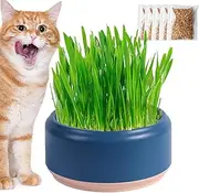 Cat Grass Growing Kit, Cat Grass Bowl Planter Tray, Catnip and Bowl Cat Grass Kit with Seeds, Soil Kitten Grass Growing Kit for Cat Snacks