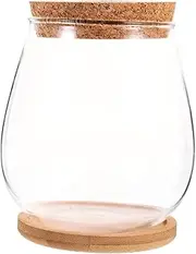 Abaodam Propagation Vases for Plants Transparent Hydroponic Planter with Stand for Growing Plants Water Versatile Micro Landscape Decoration for Home and Office