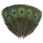 12 PCS Real Natural Peacock Eye Feathers 10-12 inch for DIY Craft, Wedding and