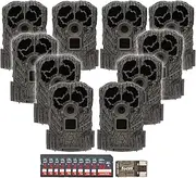 Stealth Cam Browtine 16MP, Durable, 60 Feet Infrared Detection Range, and Burst Mode Trail Camera Bundle with High Speed USB 2.0 Card Reader, and 32GB Ultra SDHC UHS-I Memory Card (10-Pack)