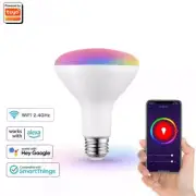 Tuya Wifi Smart Led Light BR30 E26 Smart Bulb RGB 13W100-240V Smart Life Control