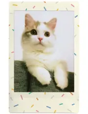 [Fujifilm] Instax Mini Film Sprinkle 10 Pack 85441
