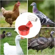 Chicken Waterer Cup Automatic Chicken Water Feeder with T-Pipe Practical Col☾.