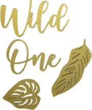 Wild One Cake Charms Acrylic Cake Topper - First Birthday, Celebration, Party De