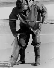Bluefish At Nags Head, North Carolina 1980 Old Fishing Photo