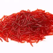 Reliable Earthwarm Bait Fishing Lures Soft Baits Earthworms Fishy Smell