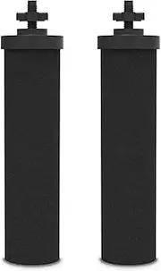 Berkey Water Filter Replacement, 2 Activated Carbon Filters Compatible With Gravity Purifiers System, Pack of 2