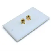 Wallplate 1 Speaker (2 input jacks) for Banana Plugs Gold Plate White