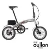 oullon歐龍 台灣製E16-1小紅隼 250W16吋單速5段電助力鋁合金碟煞電動輔助自行車/電輔車